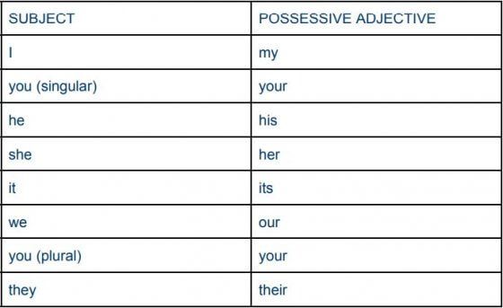 En anglais, les adjectifs possessifs